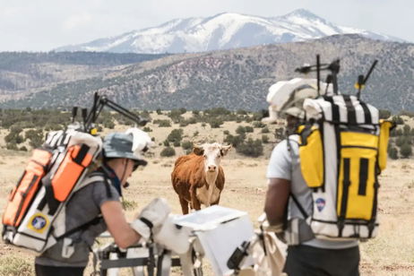 Una vaca se cuela en los ensayos de la misión Artemis III de la NASA Una vaca se cuela en los ensayos de la misión Artemis III de la NASA